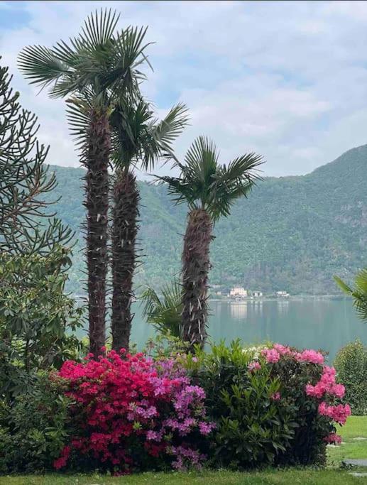 Appartamento Con Piscina E Sauna Bissone Kültér fotó